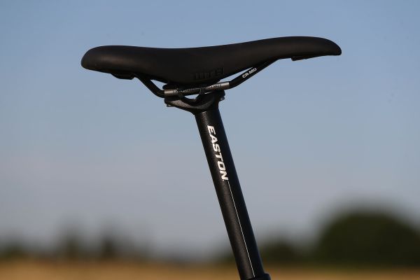 Santa Cruz Stigmata Rival