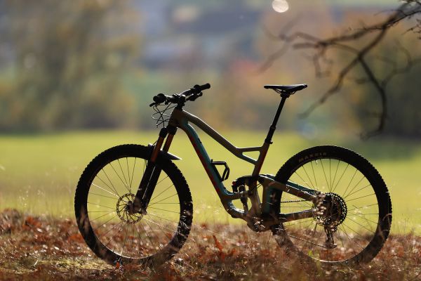 Niner RIP 9 RDO 3 stars