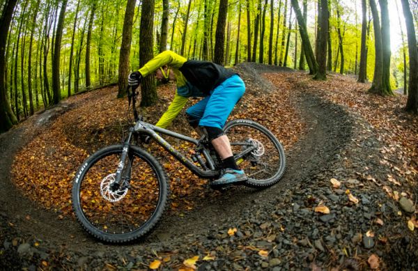 Marin Rift Zone Carbon 2020