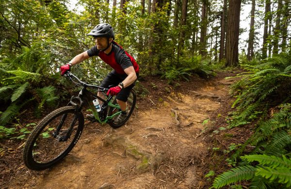 Marin Rift Zone Carbon 2020