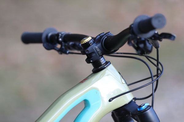 Niner RIP 9 RDO 3 stars