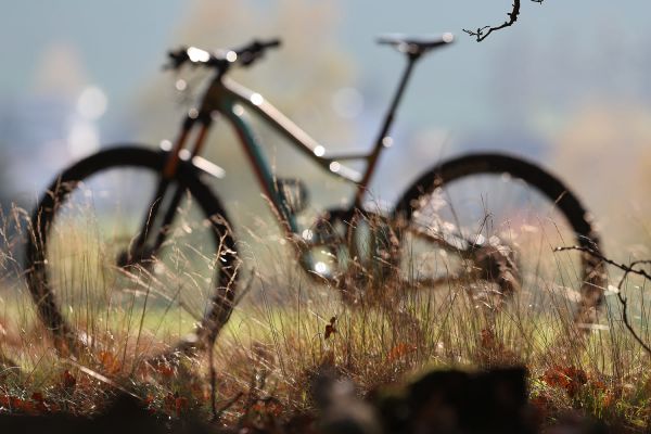 Niner RIP 9 RDO 3 stars