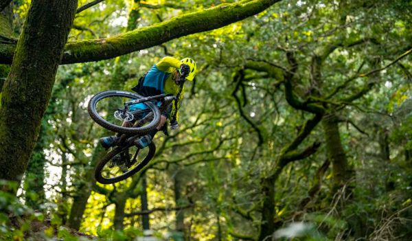 Marin Rift Zone Carbon 2020