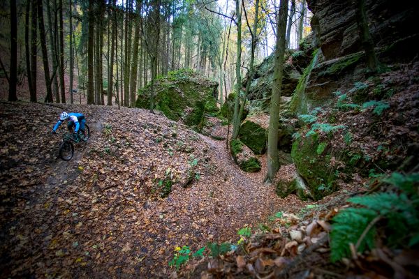 Niner RIP 9 RDO 3 stars