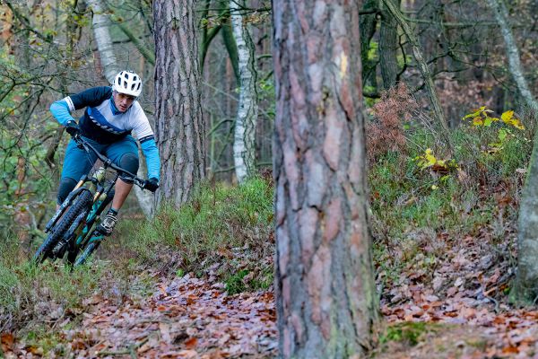 Niner RIP 9 RDO 3 stars