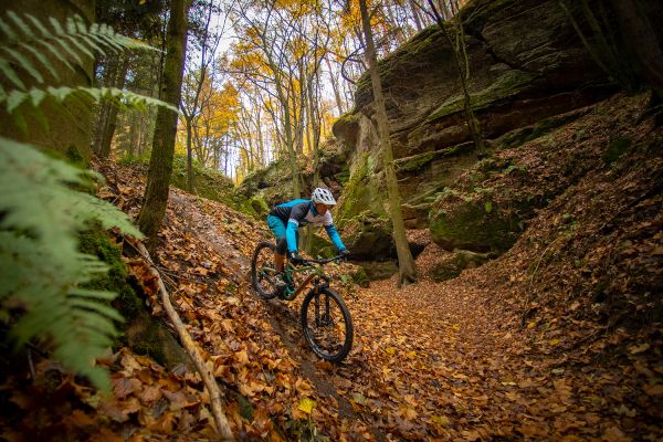 Niner RIP 9 RDO 3 stars