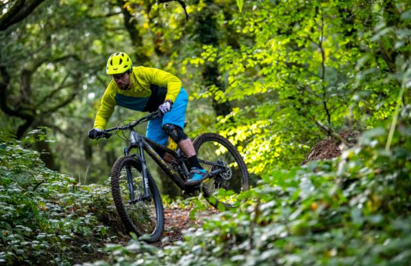 Marin Rift Zone Carbon 2020