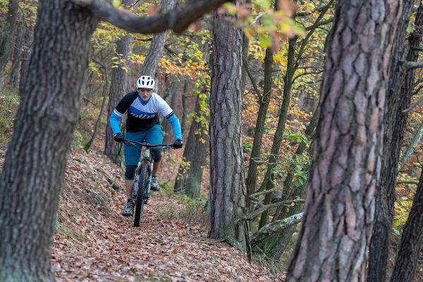 Niner RIP 9 RDO 3 stars