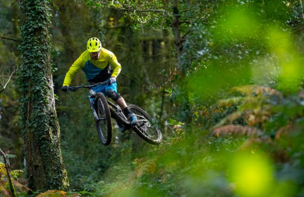 Marin Rift Zone Carbon 2020