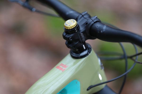 Niner RIP 9 RDO 3 stars