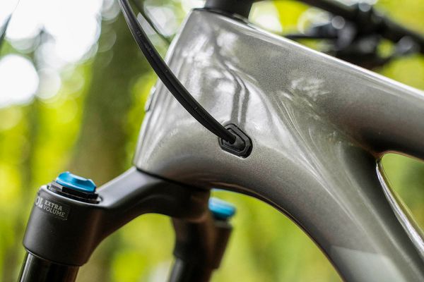 Marin Rift Zone Carbon 2020