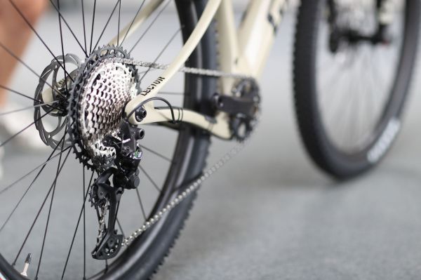 Ghost Lector SF 2020