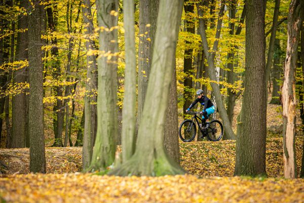 Pivot Mach 4 SL World Cup Live Valve