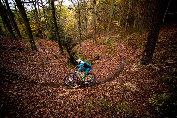 Niner RIP 9 RDO 3 stars