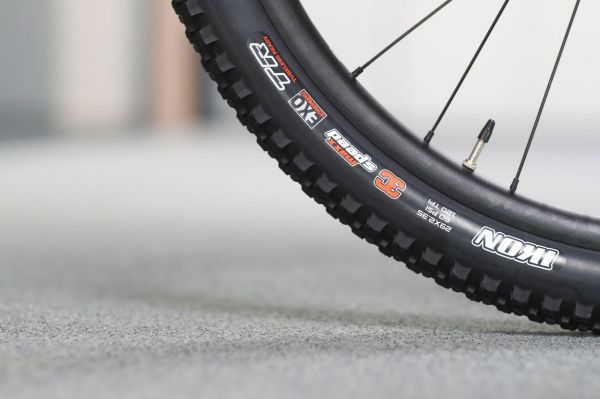 Ghost Lector SF 2020