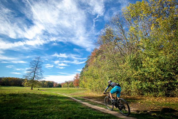 Pivot Mach 4 SL World Cup Live Valve