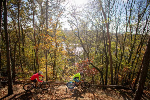 Crussis E-Largo 8.5 S