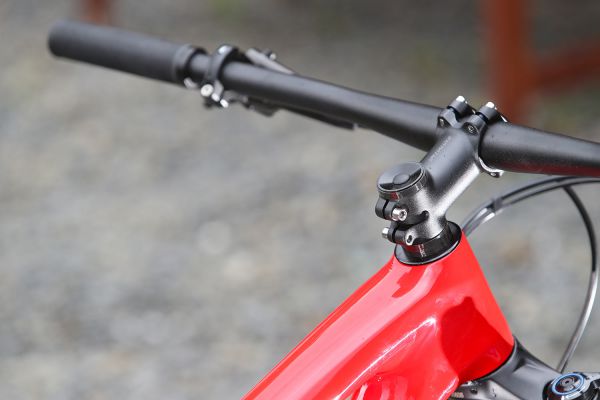 Specialized Epic Hardtail