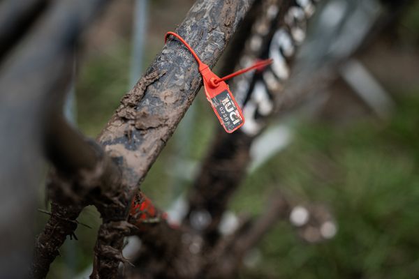 Mistrovství světa v cyklokrosu 2020