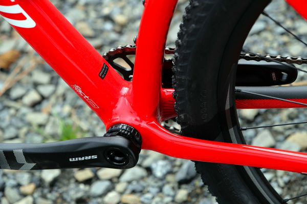 Specialized Epic Hardtail