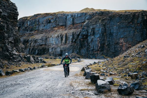 Merida eOne-Forty Limited Edition