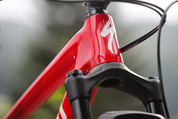 Specialized Epic Hardtail