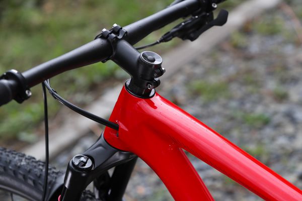 Specialized Epic Hardtail