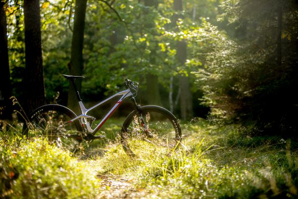 Mondraker F-Podium DC R