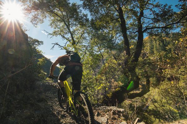 Santa Cruz Heckler 2020