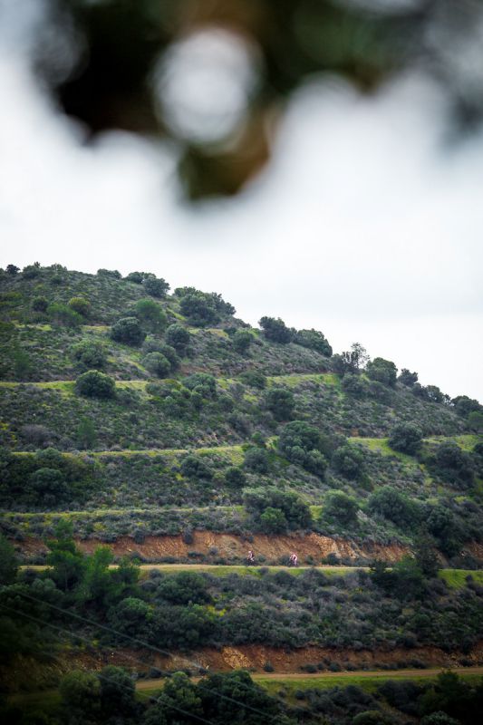 Sunshine Epic 2020 - prolog