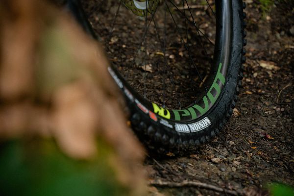 Pivot Switchblade 2020