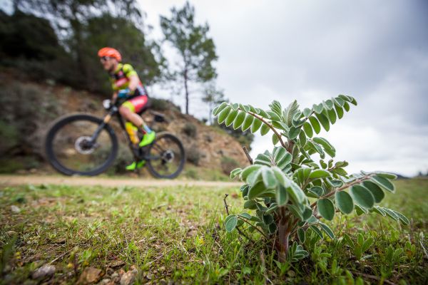 Sunshine Epic 2020 - prolog