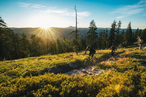 Santa Cruz Heckler 2020