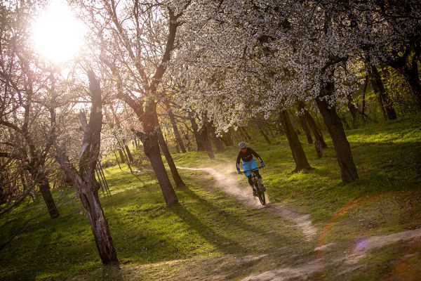 Rock Machine Blizz 70-29