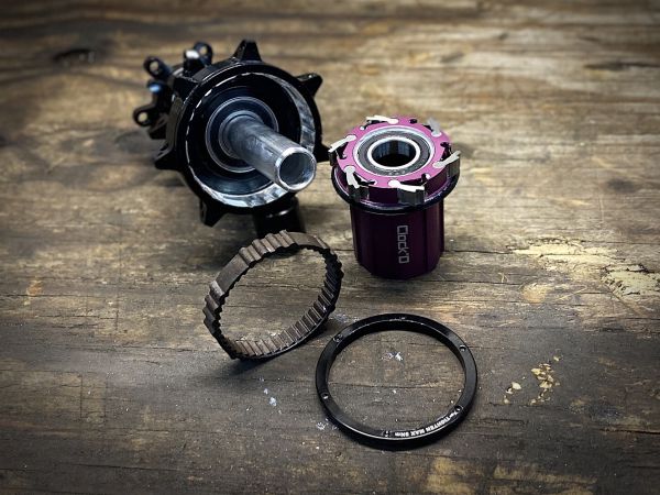 Hayes Manitou novinky 2021