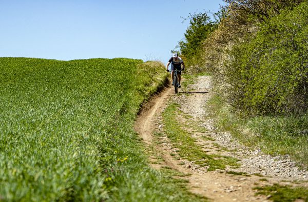 Ghost Lector Universal