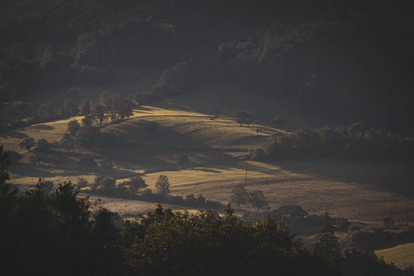 Kolo pro život 2020 #2 - Drásal