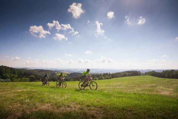 Kolo pro život 2020 #2 - Drásal