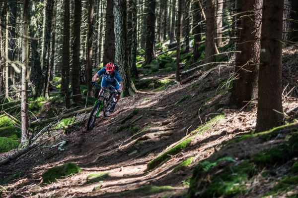 Michal Prokop - H.O.M.E. Trails - Center