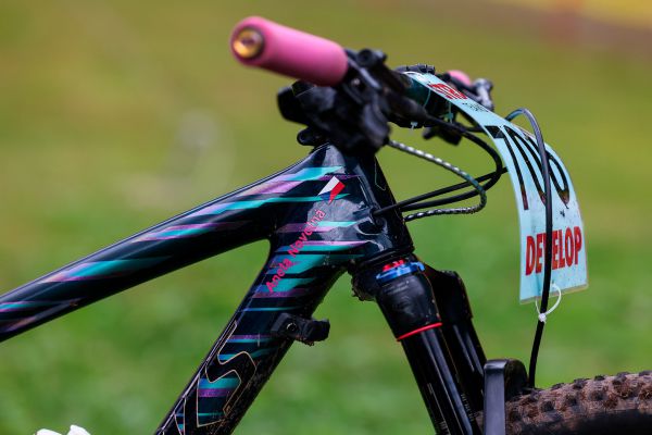 Specialized Epic Anety Novotné