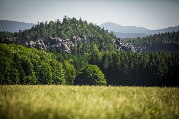 Kupkolo MTB Trilogy 2020