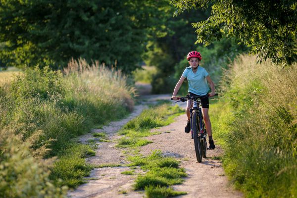 Rock Machine Thunder 29 HD LTD