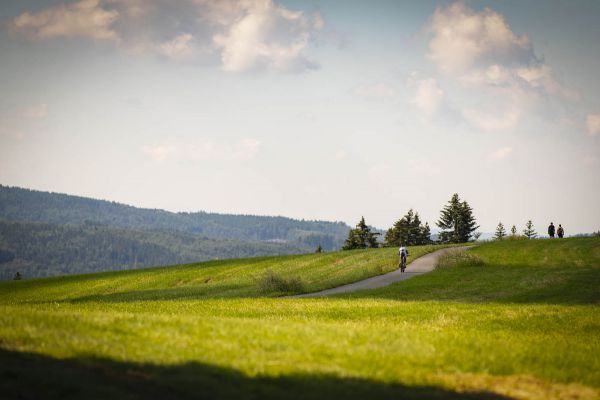 Kolo pro život 2020 #2 - Drásal