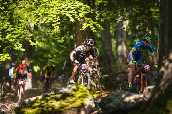 Kolo pro život 2020 #4 - Trans Brdy