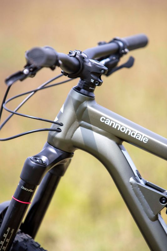 Cannondale Jekyll 29 4