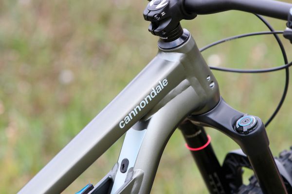 Cannondale Jekyll 29 4