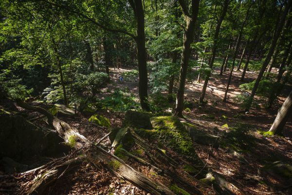 Kolo pro život 2020 #4 - Trans Brdy