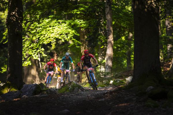 Kolo pro život 2020 #4 - Trans Brdy