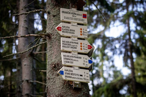 Mistrovství ČR XCM - Dolní Morava 2020