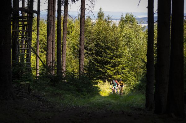 Kolo pro život 2020 #4 - Trans Brdy